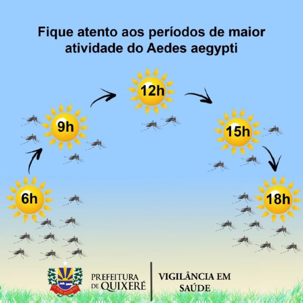 Sopesp - OGMOSA realiza ação de combate ao Aedes Aegypti no Porto